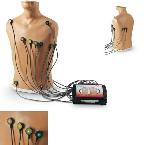 ECG-plaatsingstrainer