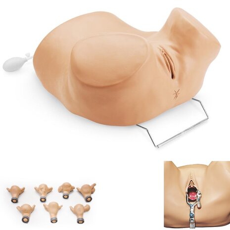 Gynaecologisch trainingsmodel