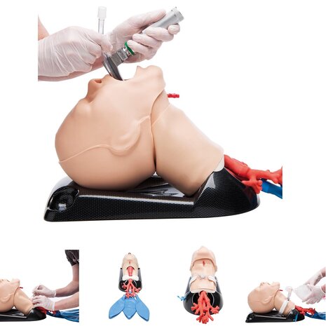 AirSim&reg; Combo Bronchi X luchtwegsimulator