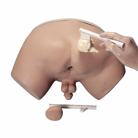 Prostaat-rectaal onderzoek simulator