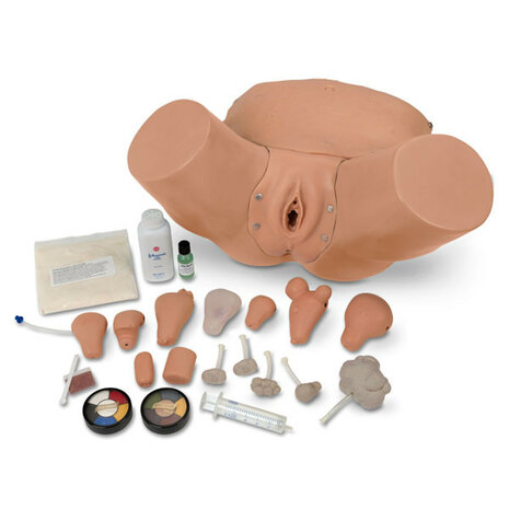 Gynaecologisch trainingsmodel