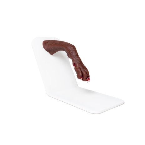 Anatomie model hond, nagels trimmen