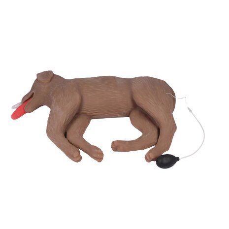 Anatomie model hond, reanimatiepop &quot;CooPeR&quot;