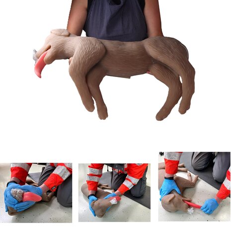 Anatomie model hond, reanimatiepop &quot;CooPeR&quot;