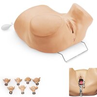 Gynaecologisch trainingsmodel