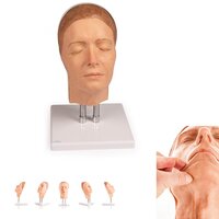 Hoofd voor gezichtsinjecties of cosmetische acupunctuur