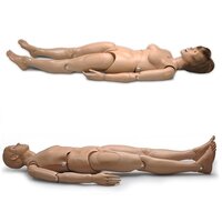 Verpleegkunde poppen (man + vrouw, basismodel 1,60 m)