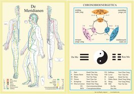 Anatomie poster meridianen (Nederlands, gelamineerd, A4)