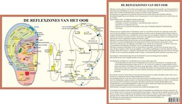 Anatomie poster oorreflexzones (Nederlands, gelamineerd, A4)