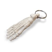 Anatomie model sleutelhanger voet (7 cm)