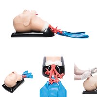 AirSim® Advance Bronchi X luchtwegsimulator