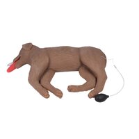 Anatomie model hond, reanimatiepop "CooPeR"