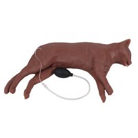 Anatomie model kat, reanimatiepop "CaPpeR"