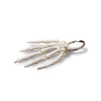 Anatomie model sleutelhanger hand (9 cm)