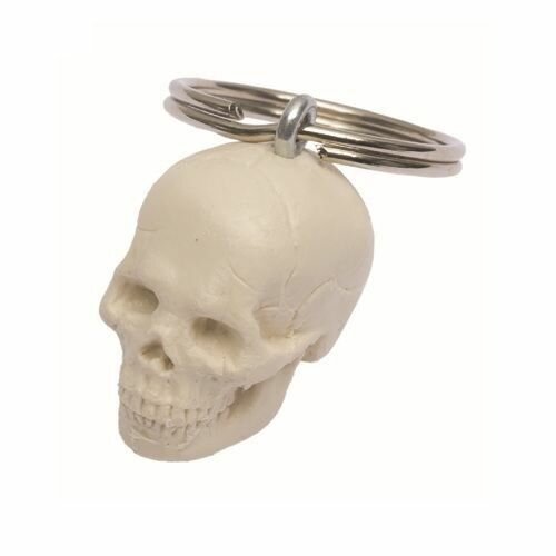 Anatomie model sleutelhanger schedel (3 cm)