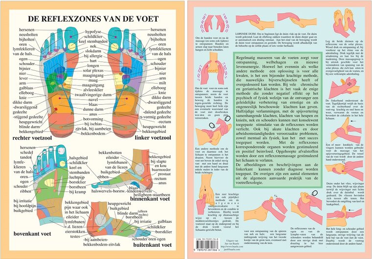van Baarle Anatomie poster Voetreflexologie Nederlands Gelamineerd A4 21x30 cm