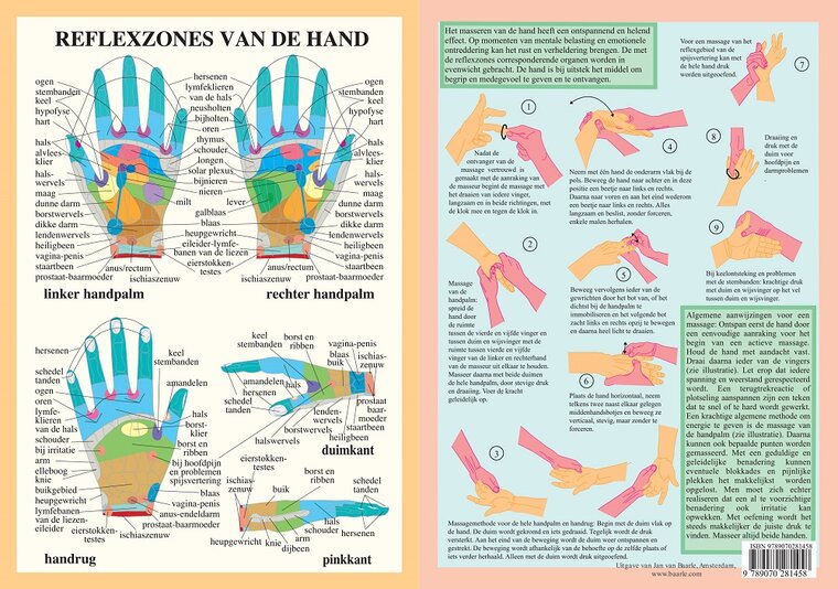 van Baarle Anatomie poster handreflexologie Nederlands gelamineerd A4 21x30 cm