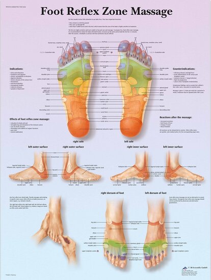 3B Scientific Anatomie poster voetreflexologie gelamineerd 50x67 cm met ophangsysteem