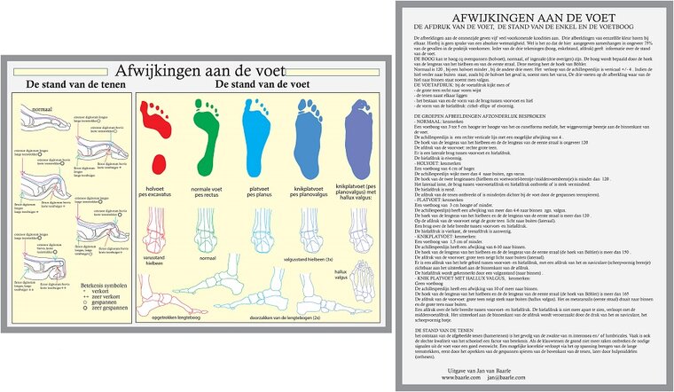 van Baarle Anatomie poster voet en voetafwijkingen Nederlands gelamineerd A4 21x30 cm