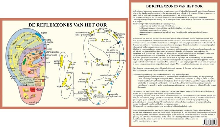 van Baarle Anatomie poster oorreflexzones gelamineerd papier A4 Nederlands