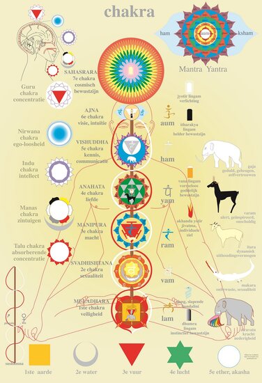 van Baarle Anatomie poster chakra's Nederlands gelamineerd A2 60x42 cm