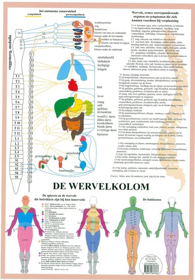 van Baarle Anatomie poster vegetatief zenuwstelsel Nederlands gelamineerd A2 60x42 cm