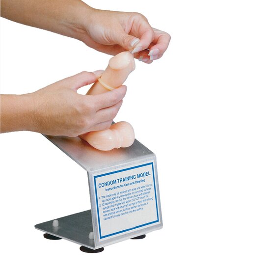 3B Scientific Trainingsmodel condoom voor seksuele voorlichting en scholing interactief