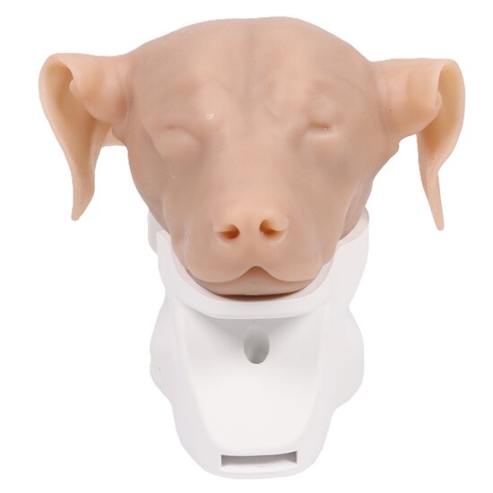 Erler-Zimmer Otoscopie simulator hond anatomie model zachte siliconen levensgroot 1