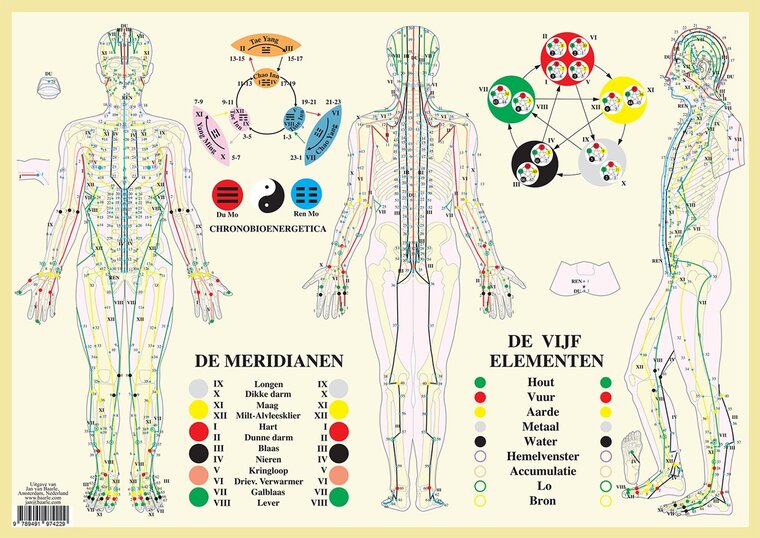 van Baarle Anatomie poster meridianen en vijf elementen gelamineerd A2 Nederlands